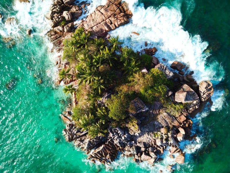 Bird Island