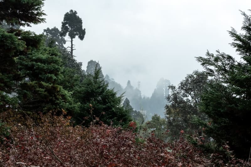 Emei Shan