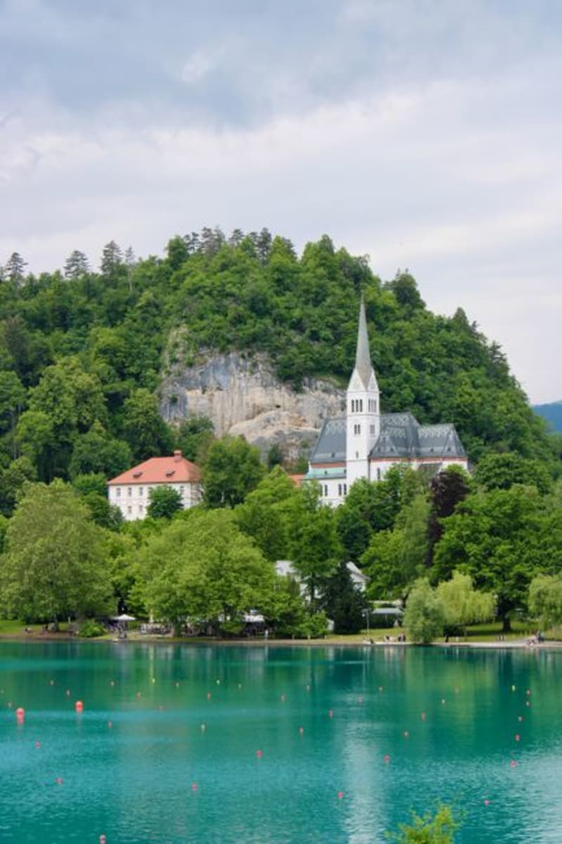 Bogojina