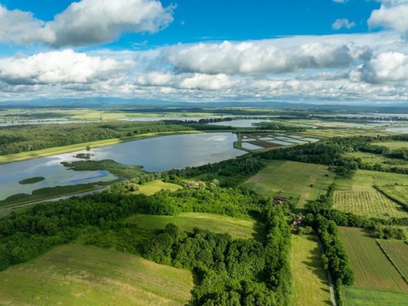 Lac de Cerknica