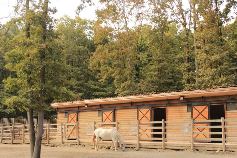 Haras de Lipica