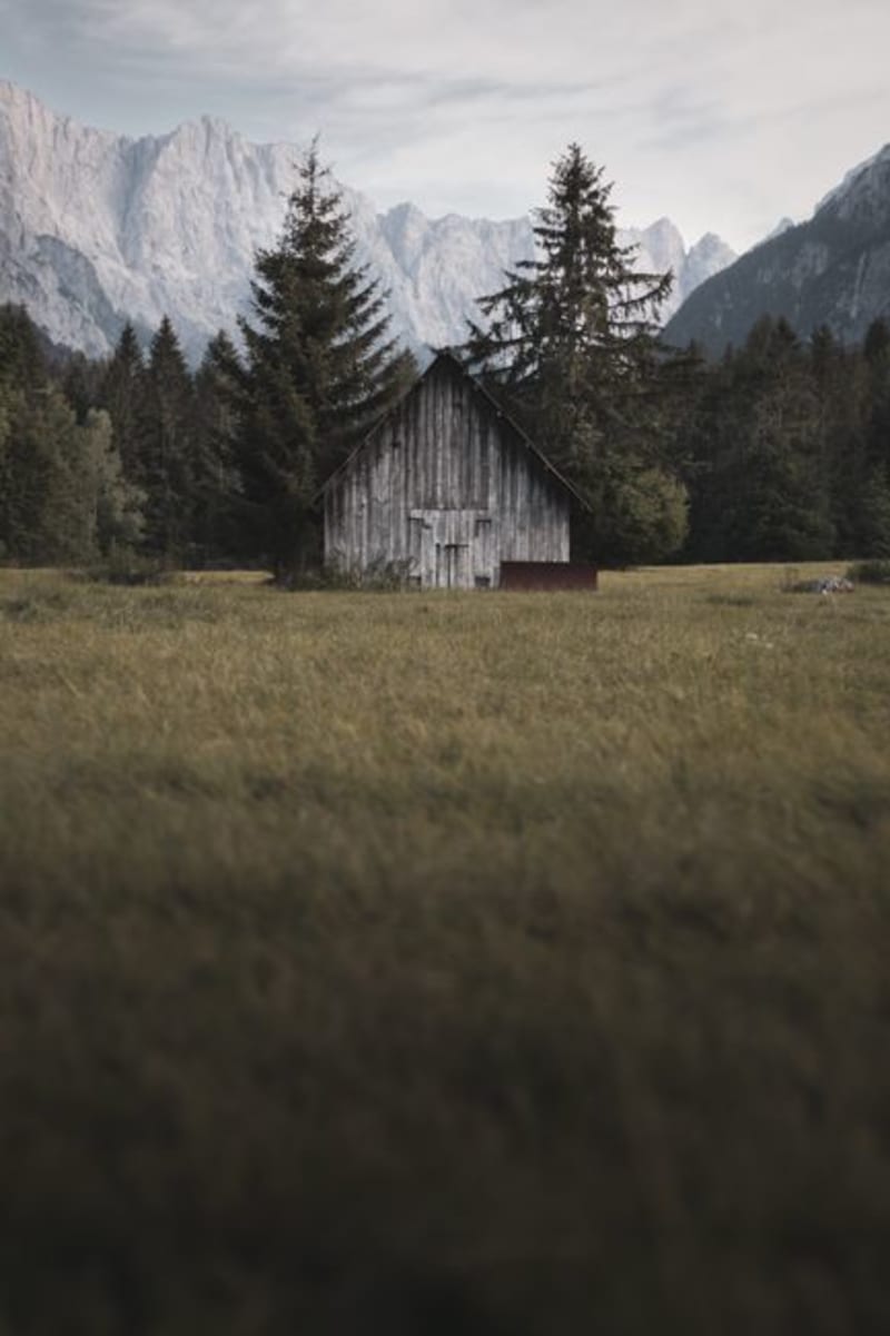 Pokljuka Plateau