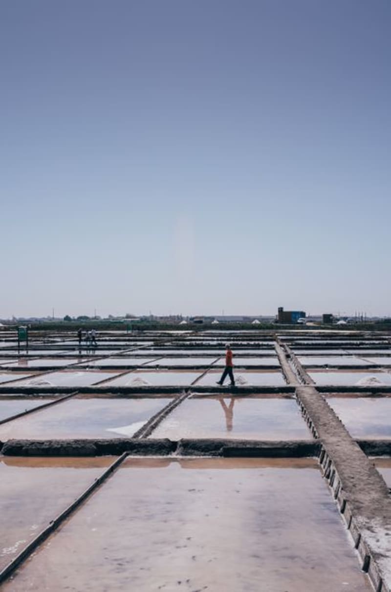 Sečovlje Salt Pans