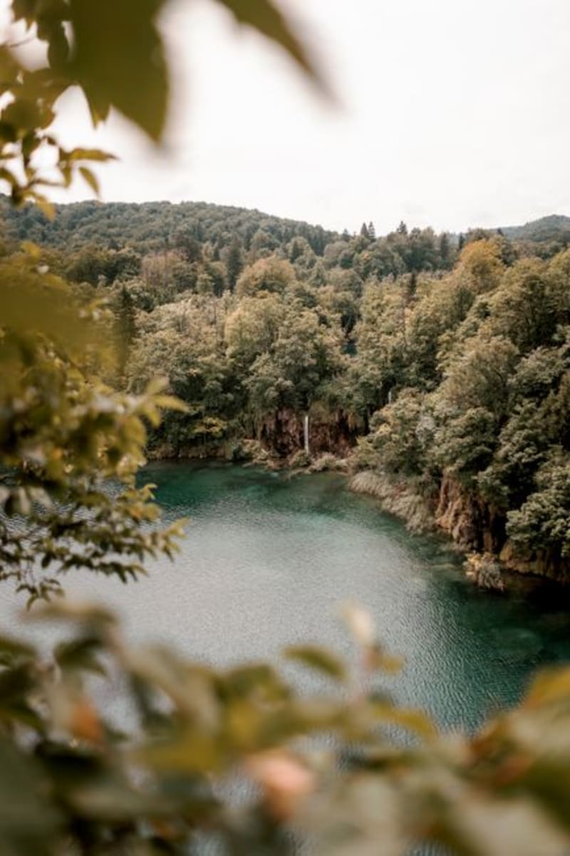 Škocjanski Zatok Nature Reserve