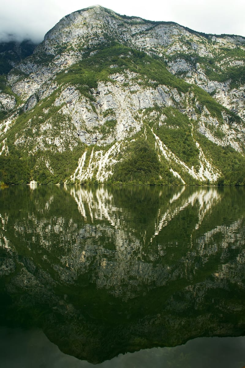 Slovenske Konjice