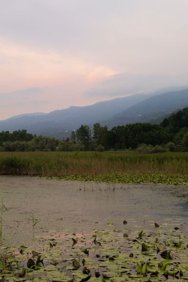 Vipava Valley