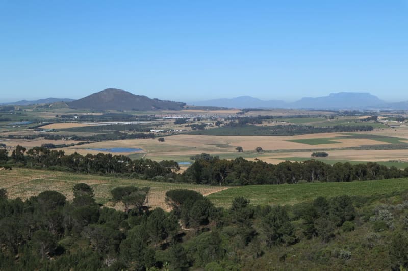 Winelands Franschhoek