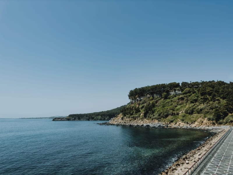 Jeju Coastal Trail