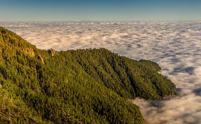 Imatong Mountains