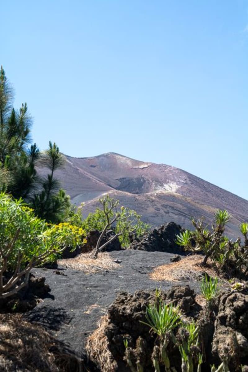 La Palma