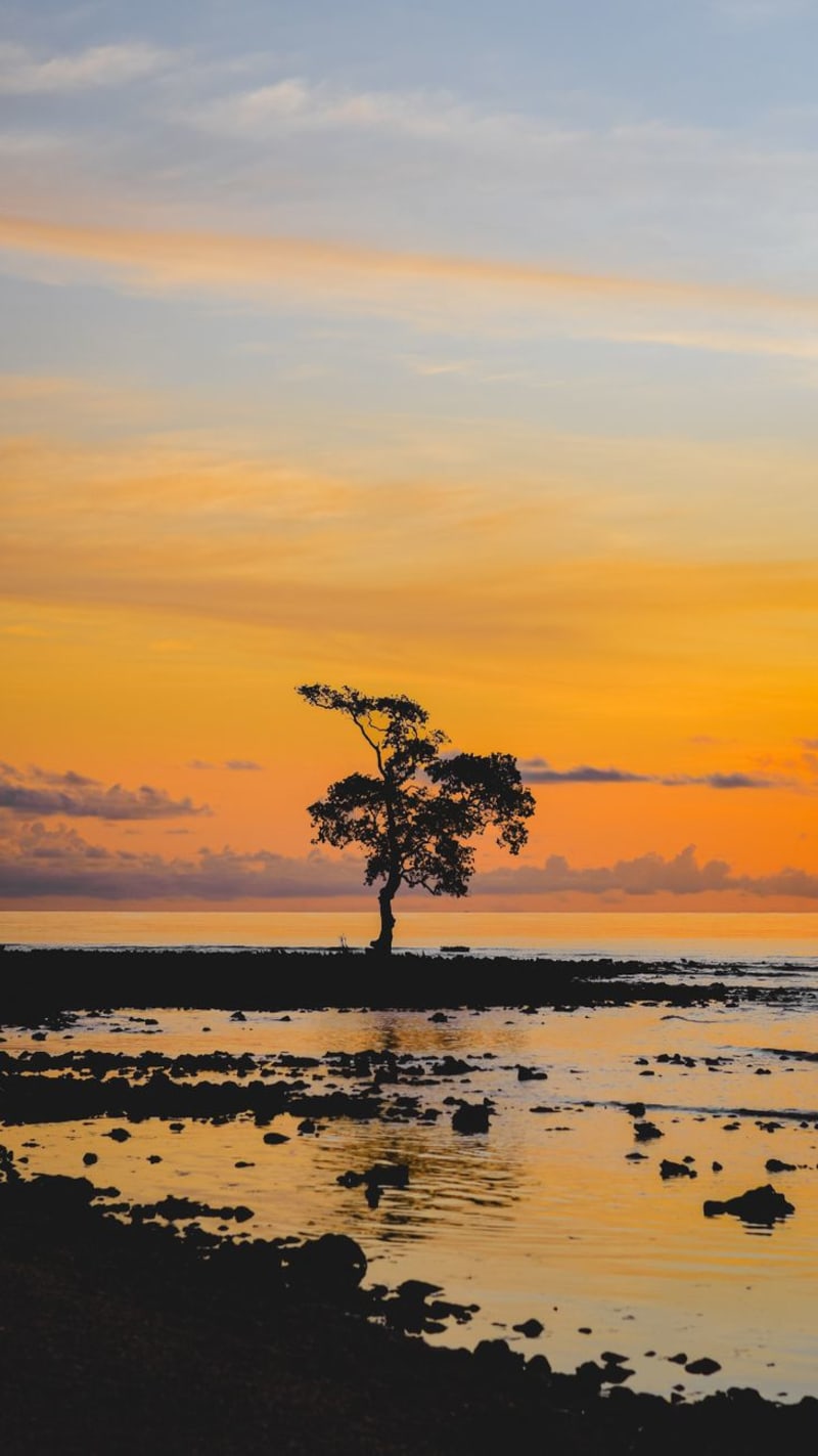 Tanjung Bira