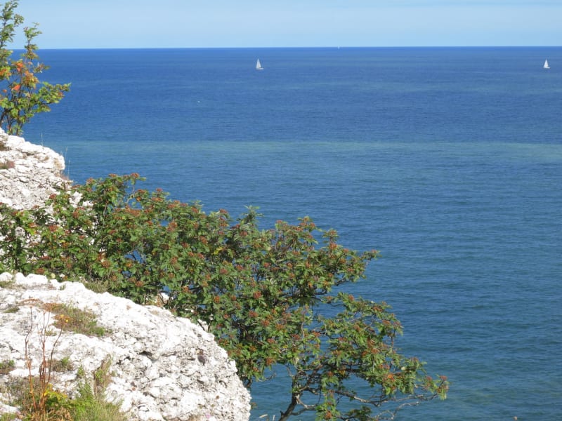 Gotland Fårö