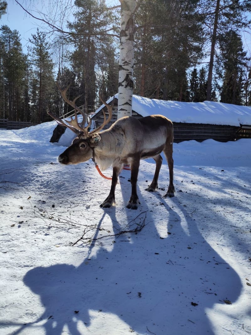 Jukkasjärvi