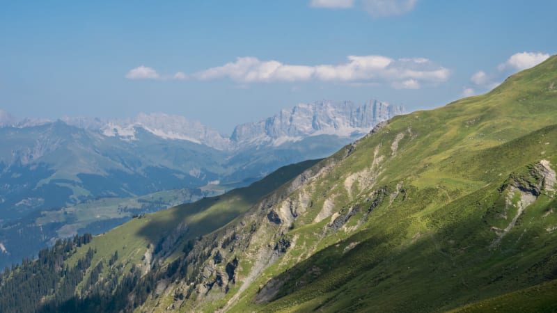 Arosa