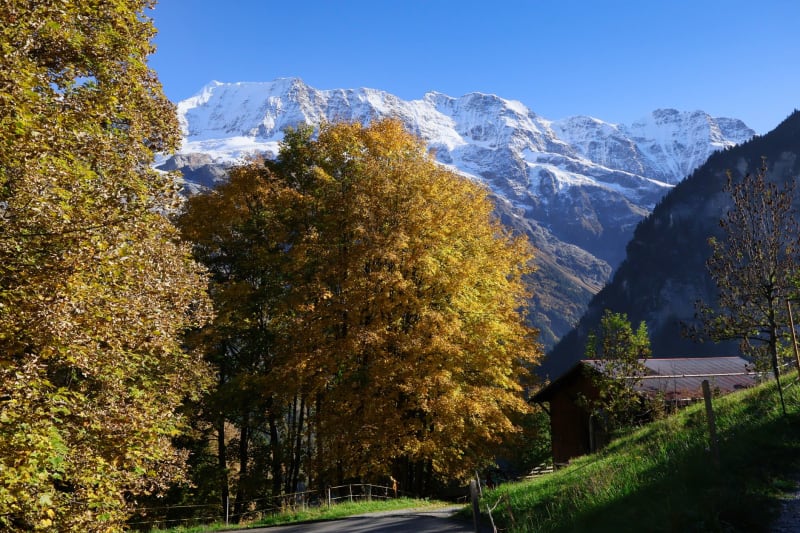 Mürren