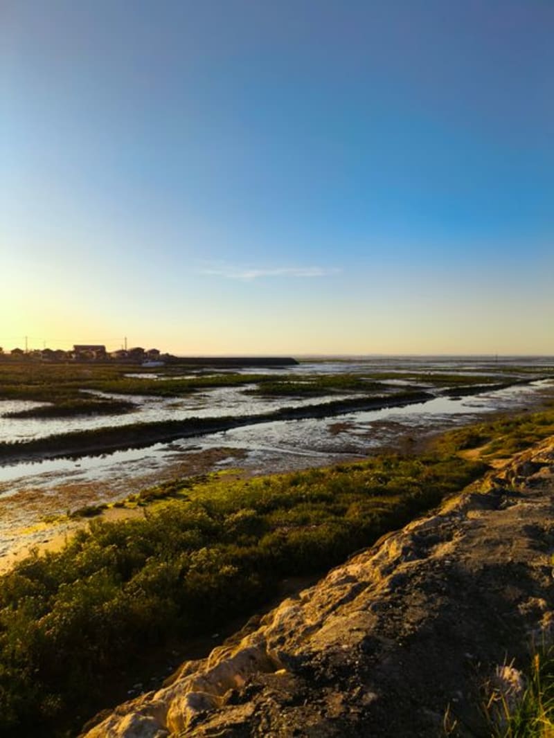 Gaomei Wetlands