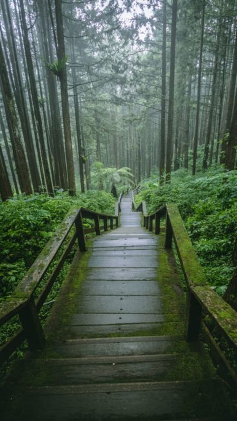 Parque Natural de Sheding