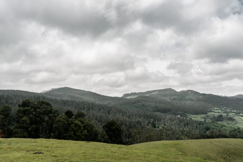 Ooty