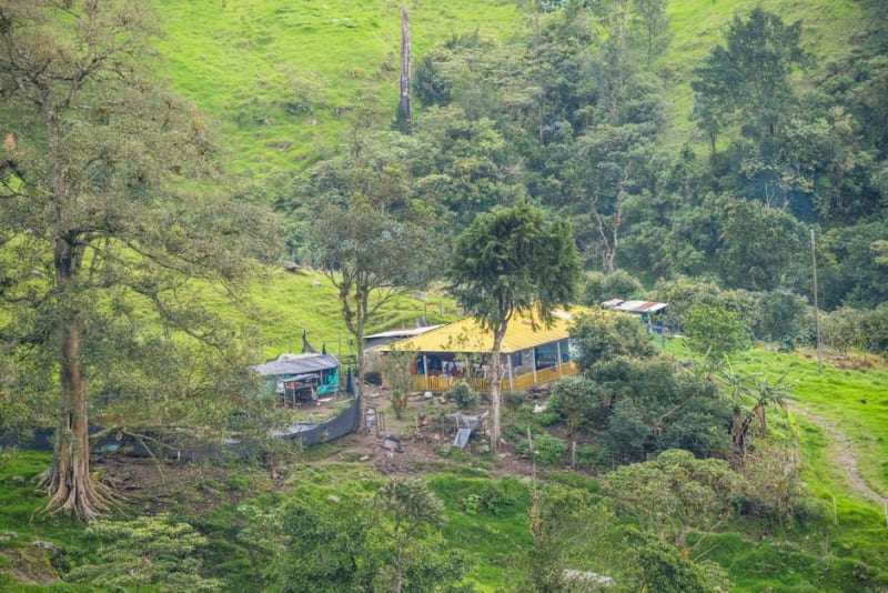 Buritaca