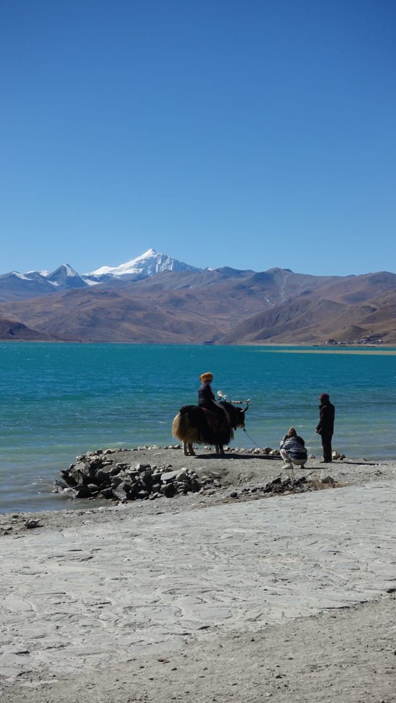 Yamdrok Lake