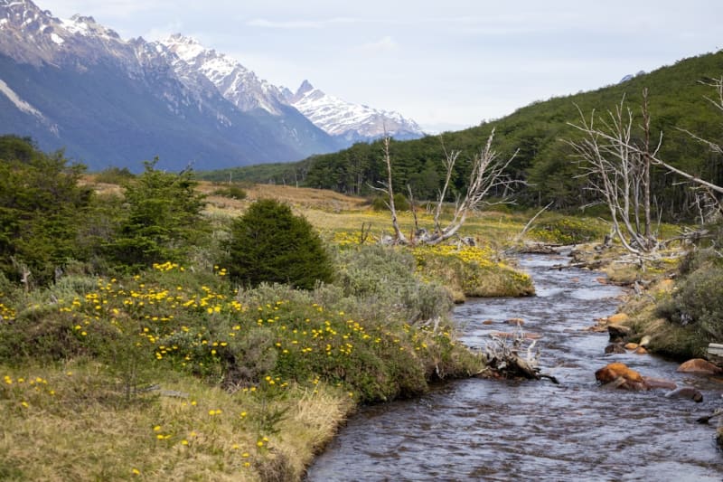 Beagle Channel