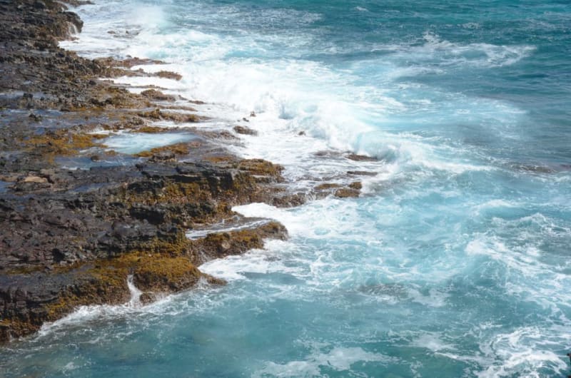 Mapu'a 'a Vaea Blowholes