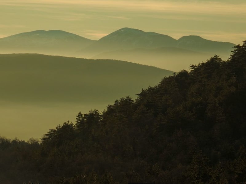 Bolu