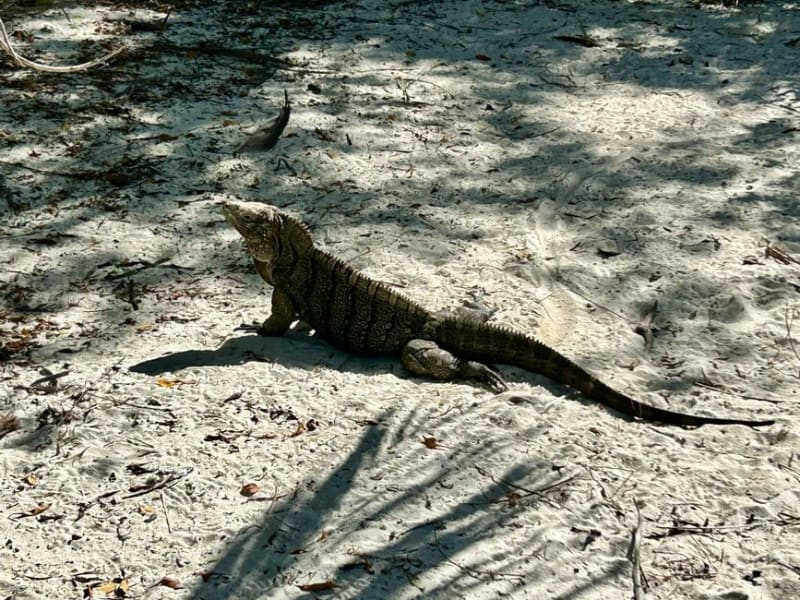 Little Water Cay