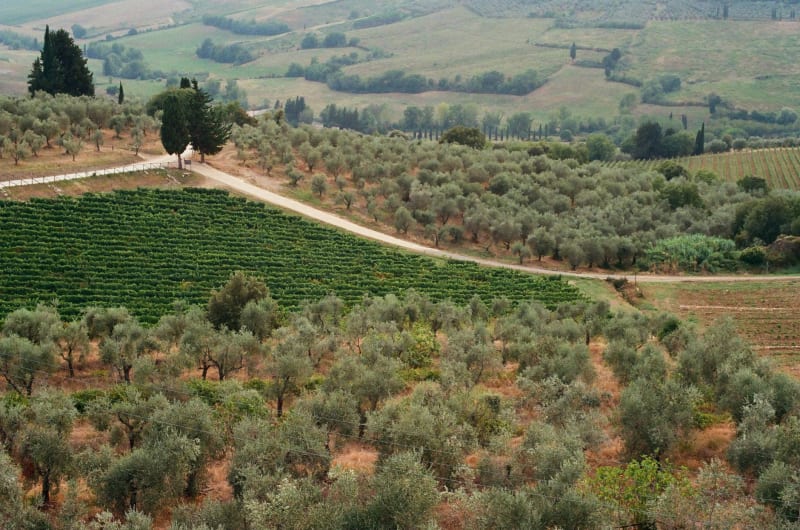 Chianti