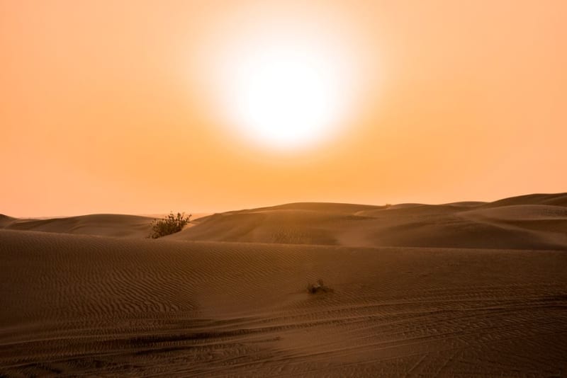 Reserva de Conservación del Desierto de Al Marmoom