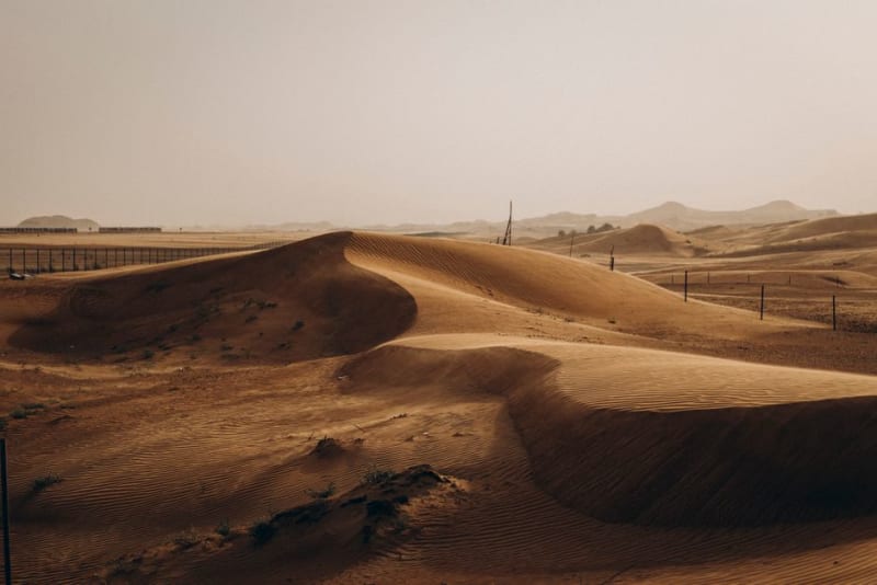 Al Marmoom Desert Conservation Reserve