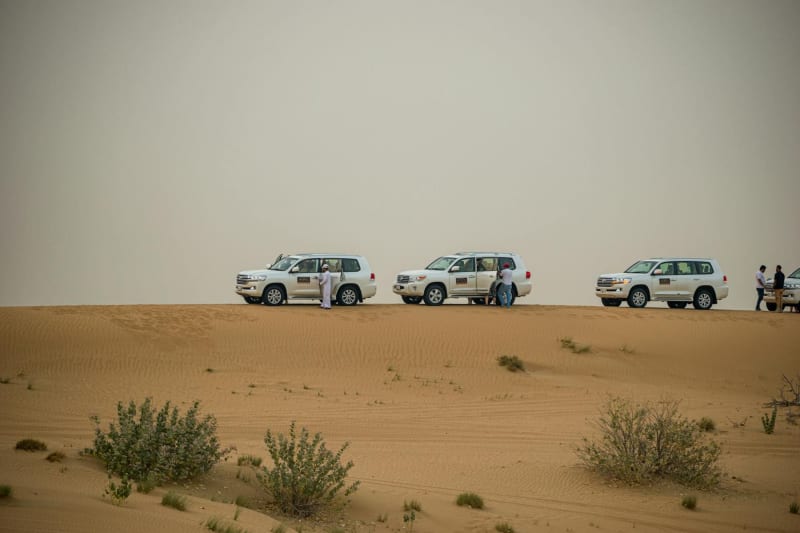 Dubai Desert Safari