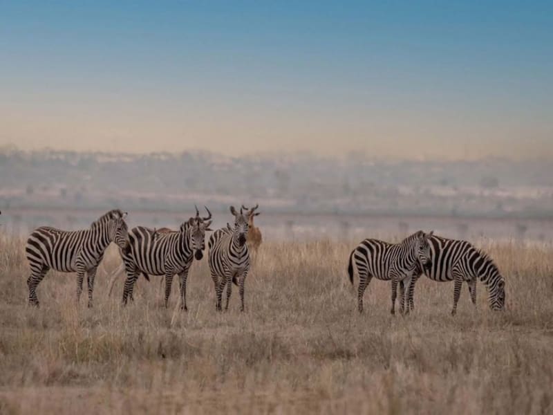 Lake Mburo National Park