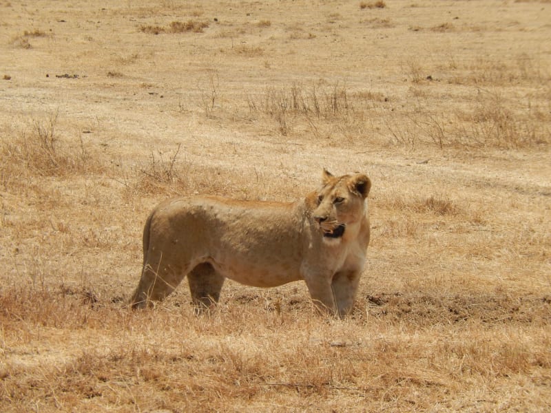 Parque Nacional Queen Elizabeth