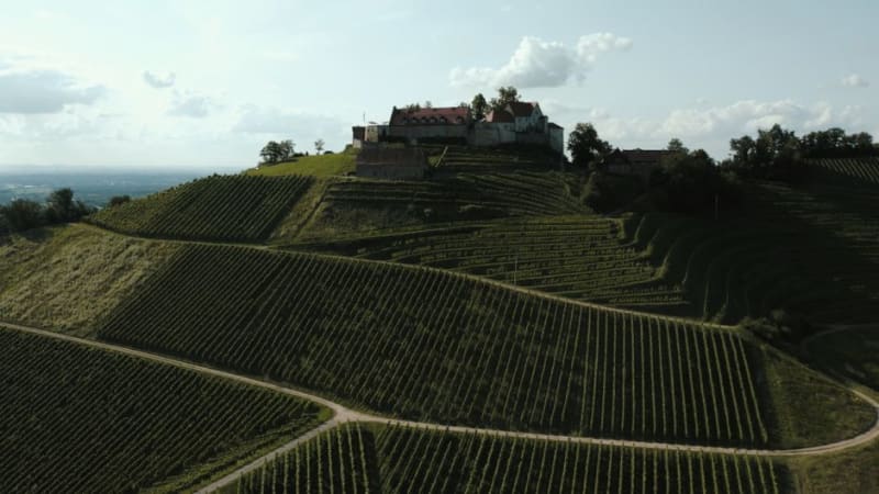 Mukachevo