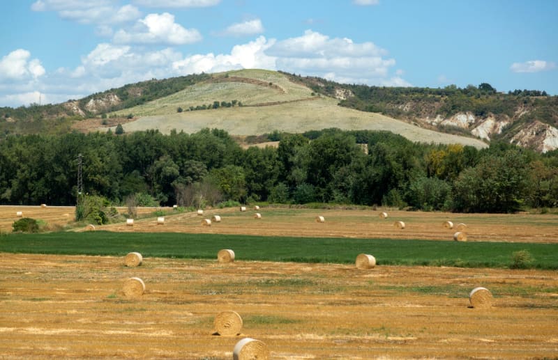 Norcia