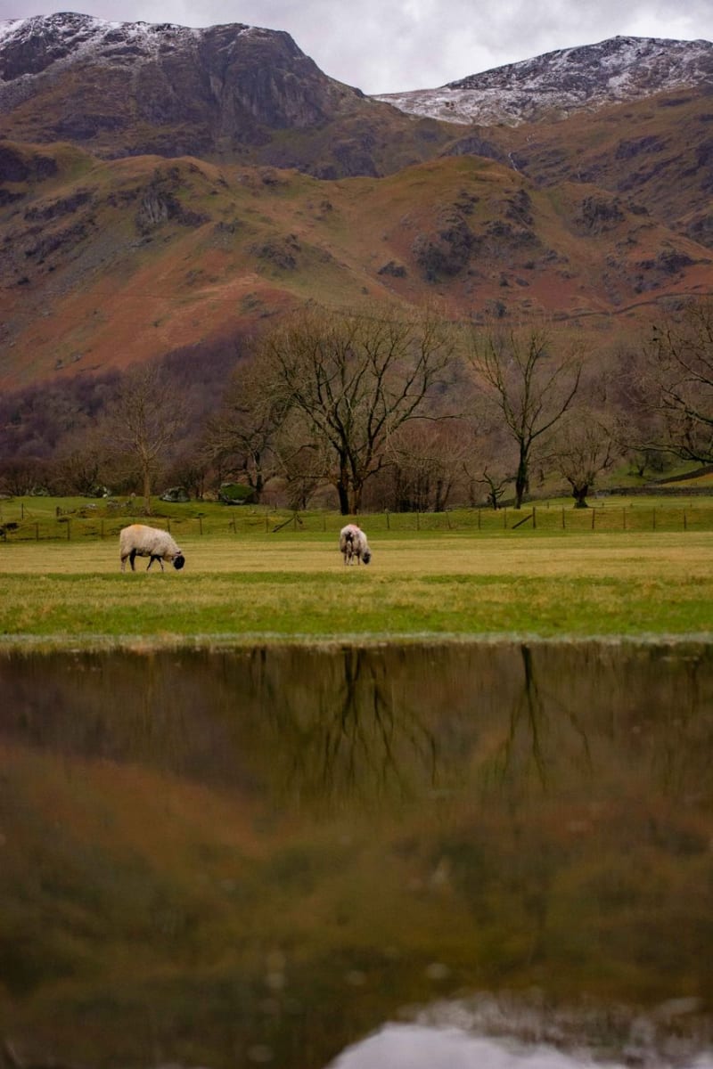 Lake District