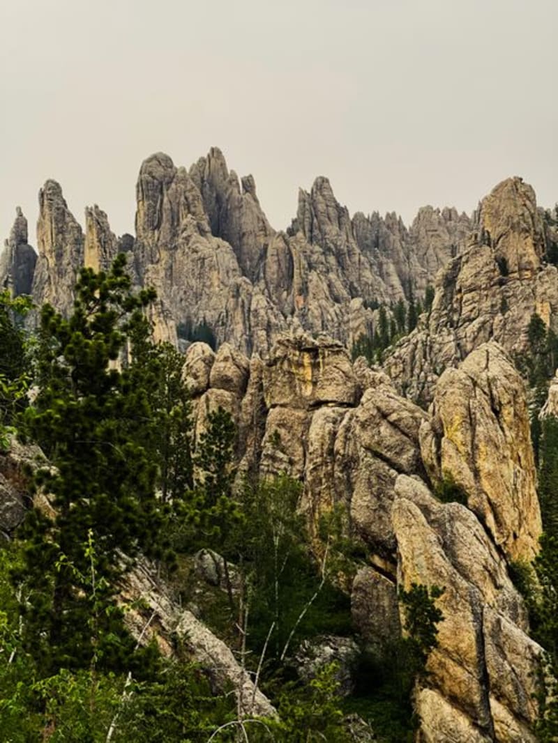 Black Hills