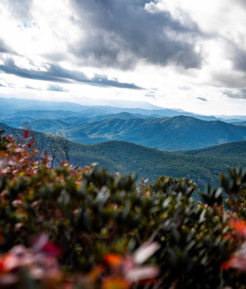 Blue Ridge Parkway