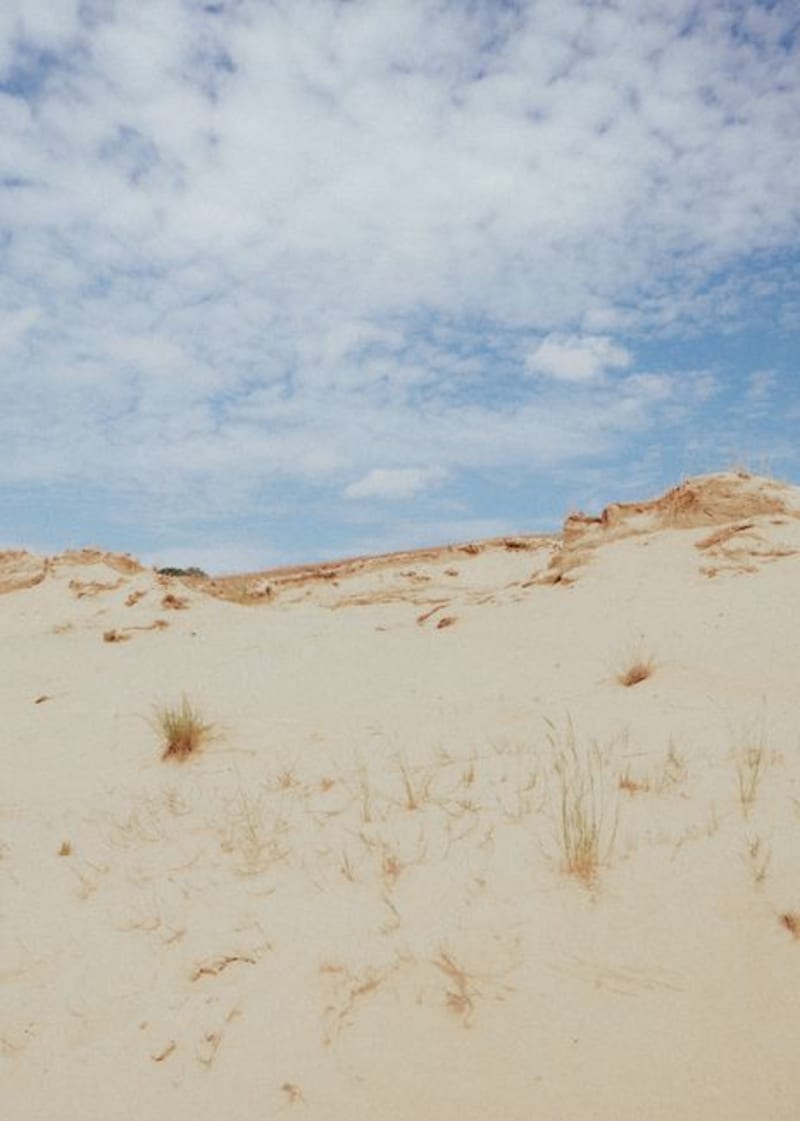 Indiana Dunes