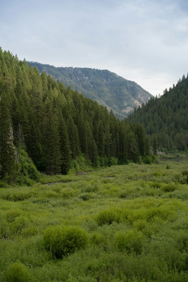 Ketchum