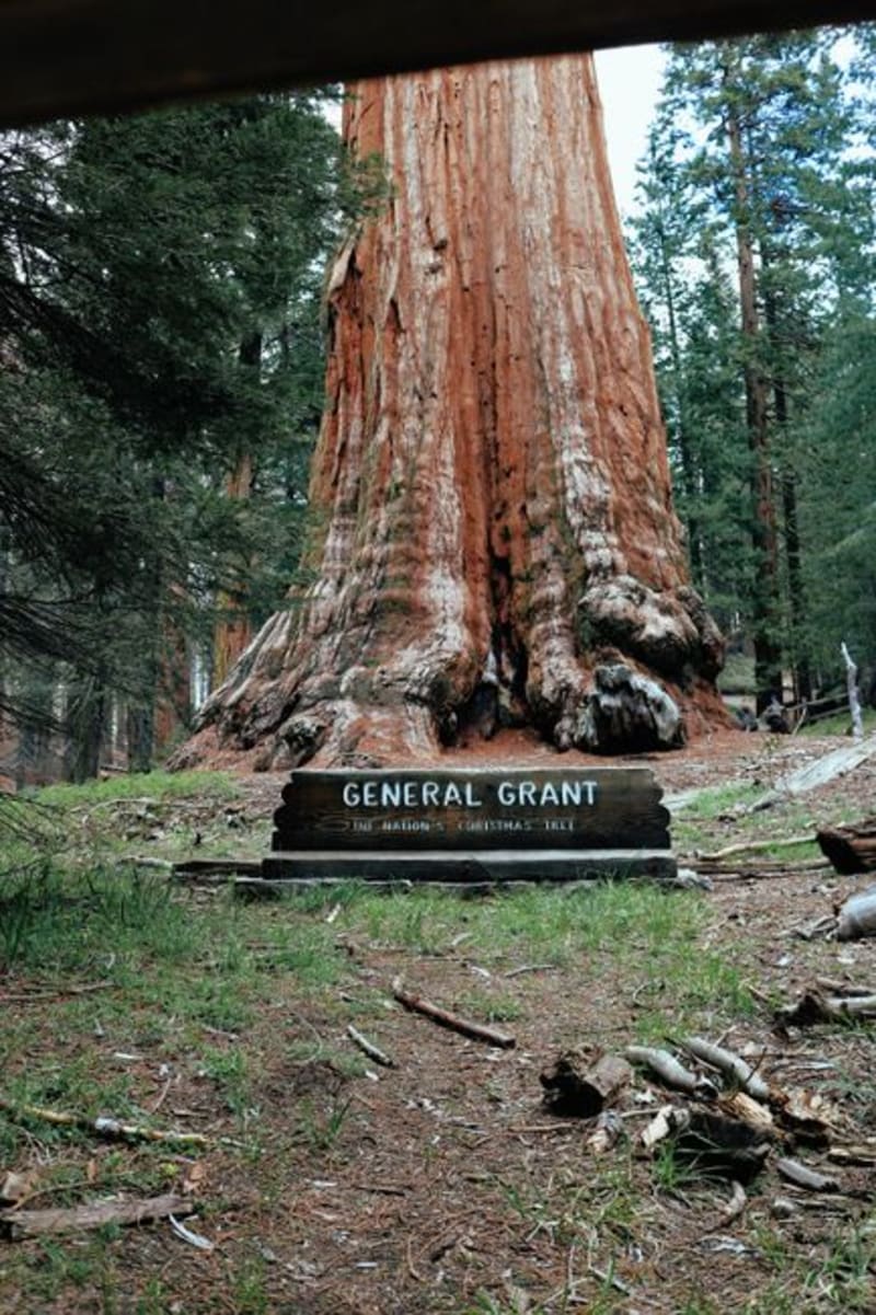 Kings Canyon