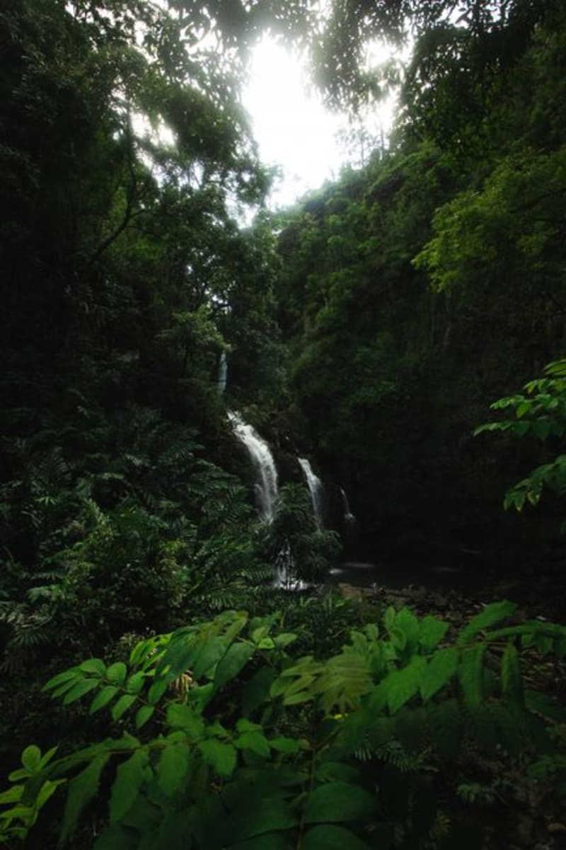 Maui