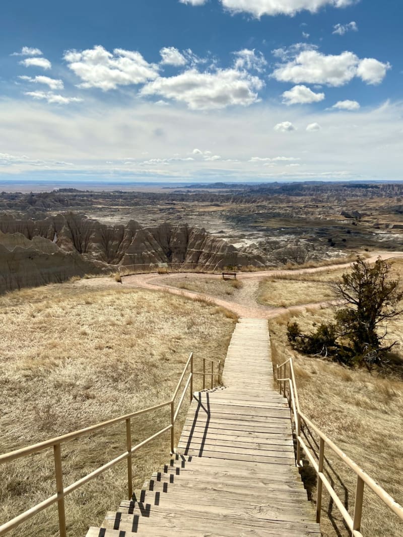 Medora