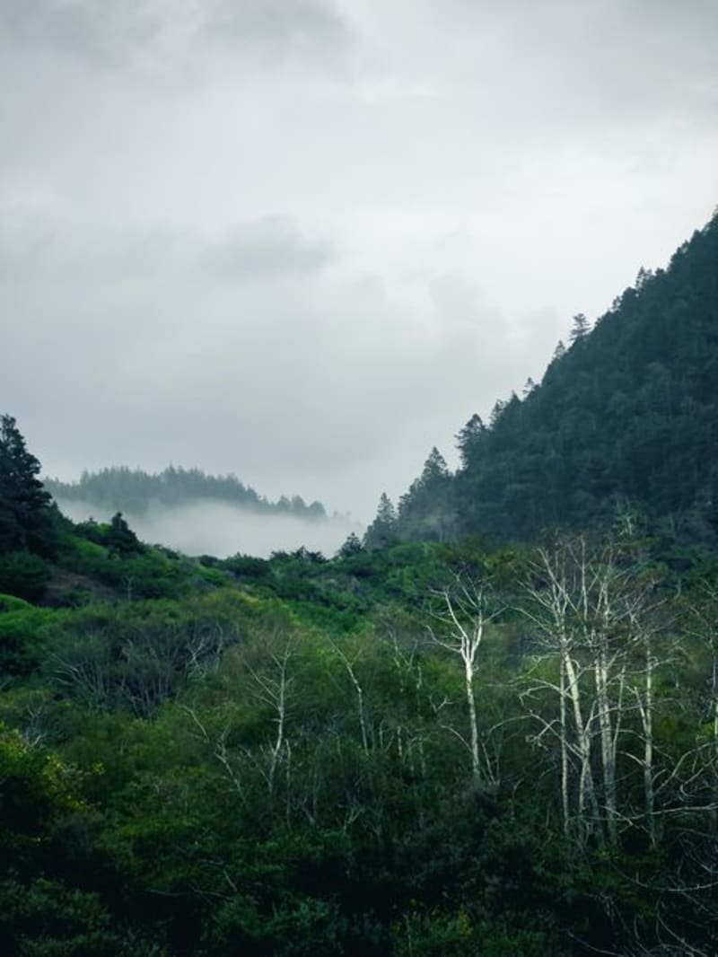 Mendocino