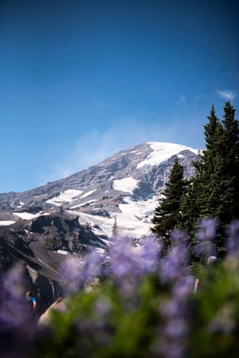 Mount Hood