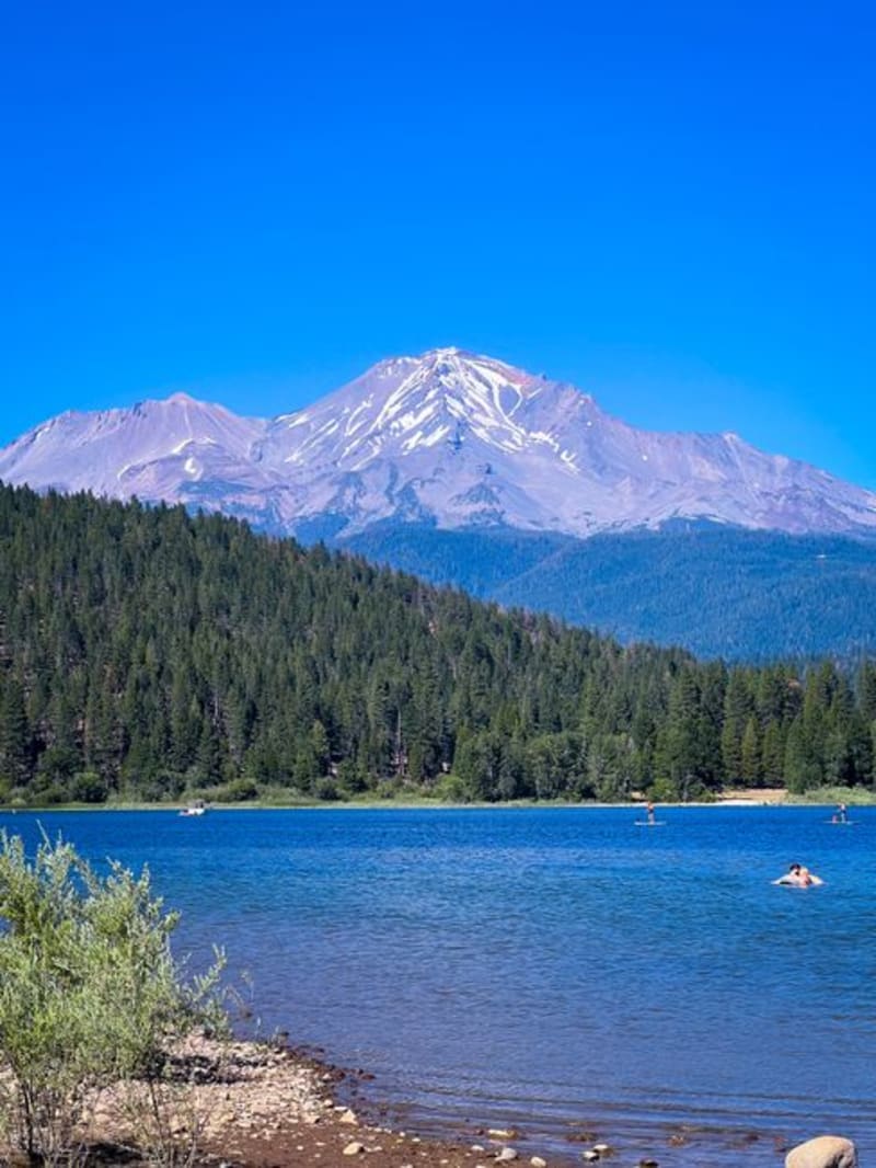 Mount Shasta