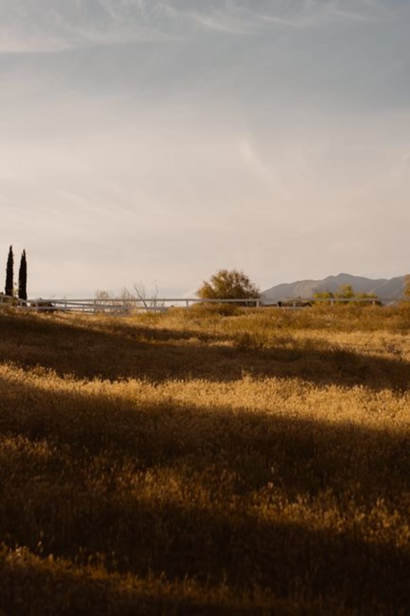 Ojai