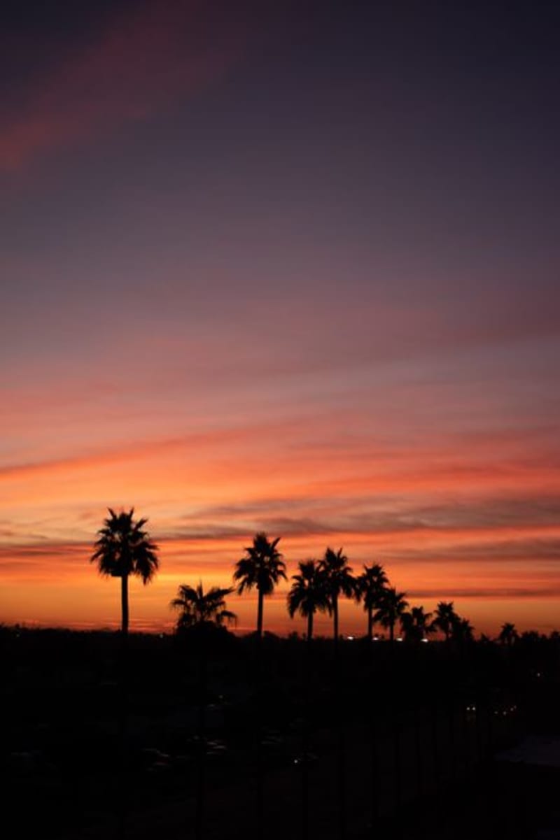 Phoenix