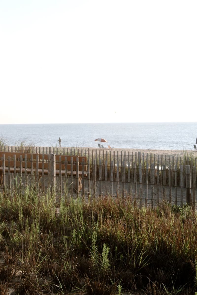 Delaware